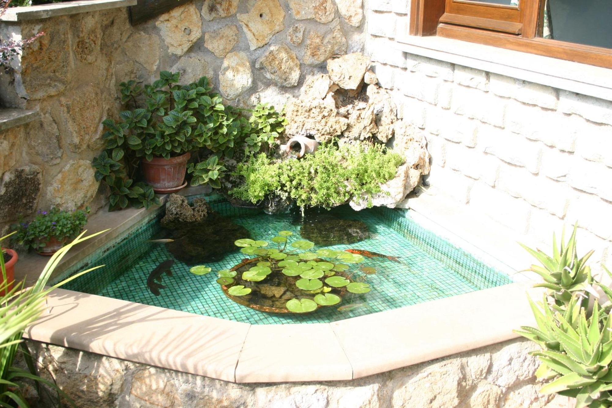 B&B Le Palme Bassano Romano Buitenkant foto